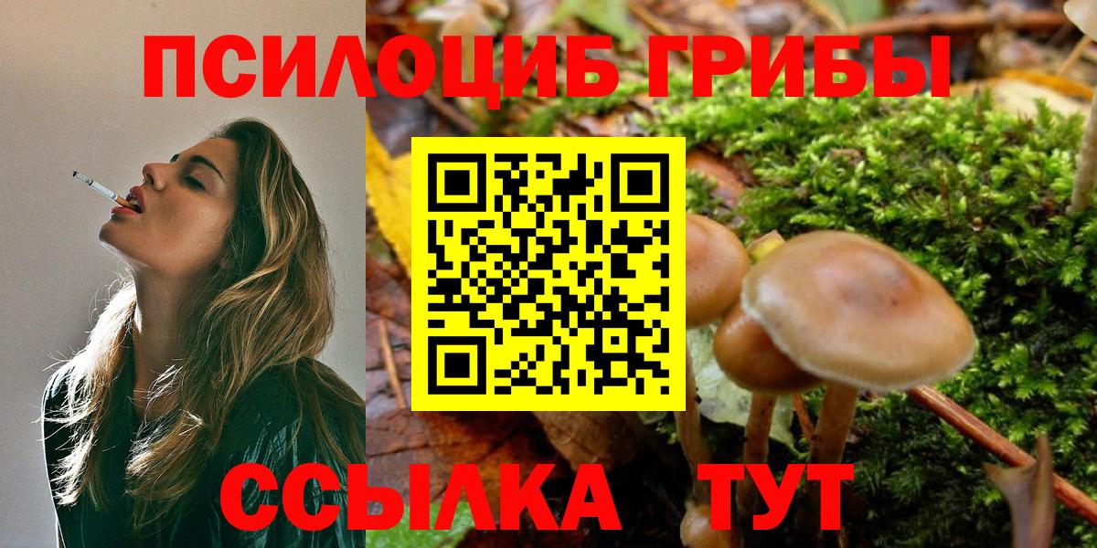 Галлюциногенные грибы мухоморы Маркс